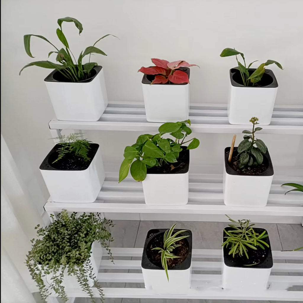 Self Watering Planter White Flower Pot with Water Level Indicator Self Watering Plant Pot Modern Decorative Bonsai Pot